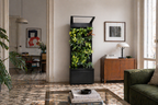 Sphera Mini - Purificatore d'aria Naturale (Acconto Early Bird) (Copia)