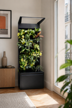 Sphera Mini - Purificatore d'aria Naturale (Acconto Early Bird) (Copia)