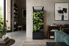Sphera Mini - Purificatore d'aria Naturale (Acconto Early Bird) (Copia)