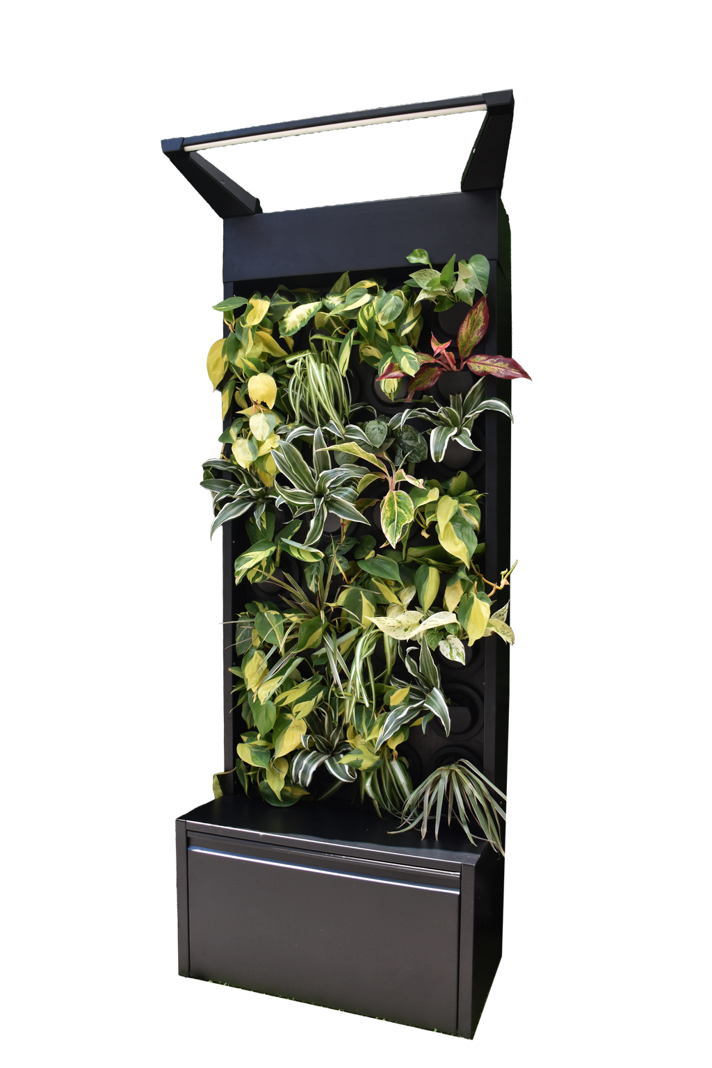 Sphera Mini - Purificatore d'aria Naturale