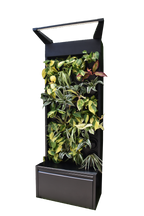Sphera Mini - Purificatore d'aria Naturale (Acconto Early Bird) (Copia)