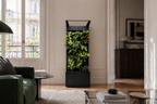 Sphera Mini - Purificatore d'aria Naturale (Acconto Early Bird) (Copia)